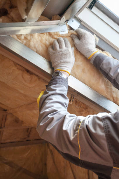 Best Specialized Insulation Services in Friendly, MD