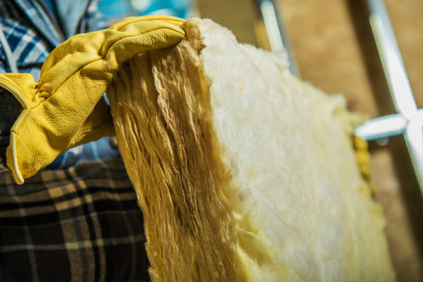 Best Residential Insulation in Friendly, MD
