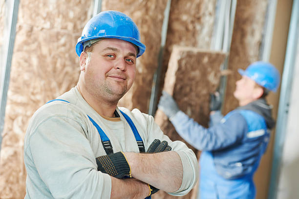 Best DIY Insulation Kits and Guidance in Friendly, MD